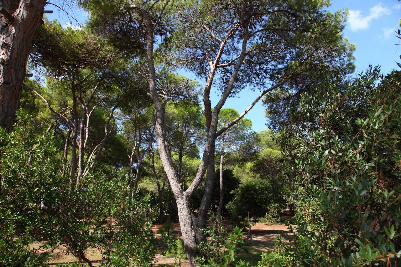 Riva di Ugento Beach Camping Resort Esterno foto