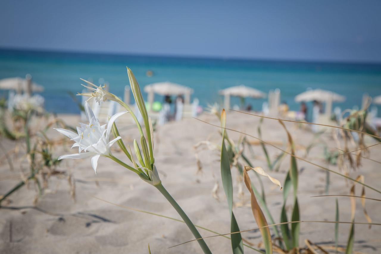 Riva di Ugento Beach Camping Resort Esterno foto